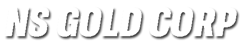 nsgoldcorp.com